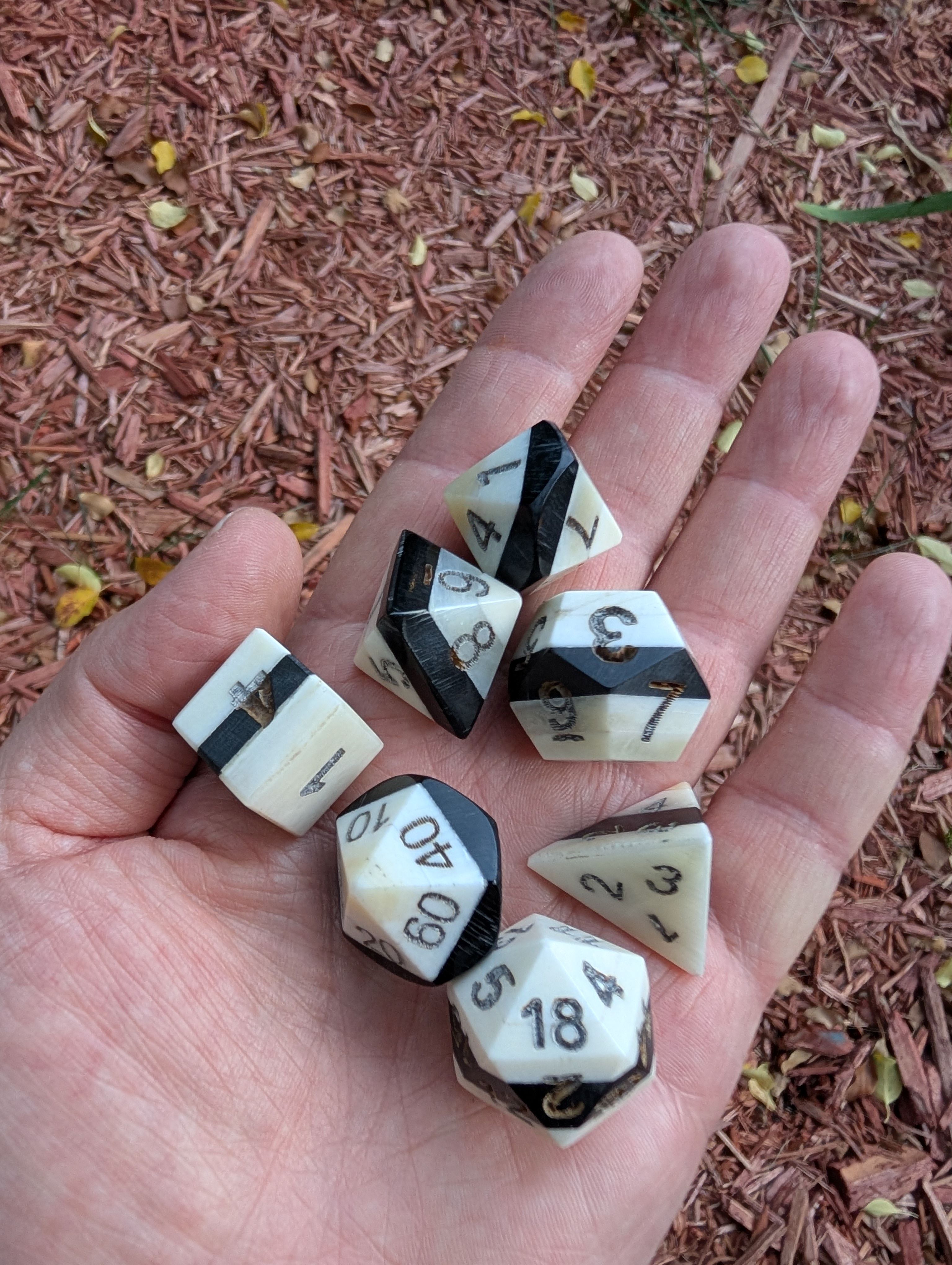 Hand-Carved Bone and Horn DnD Dice Set – Unique Artisan Dice for Role-Playing Games