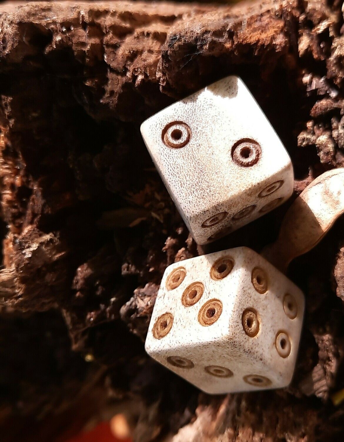 Ancient Roman Hand-Carved Bone Gaming Dice (Moose antler, 2 pcs)