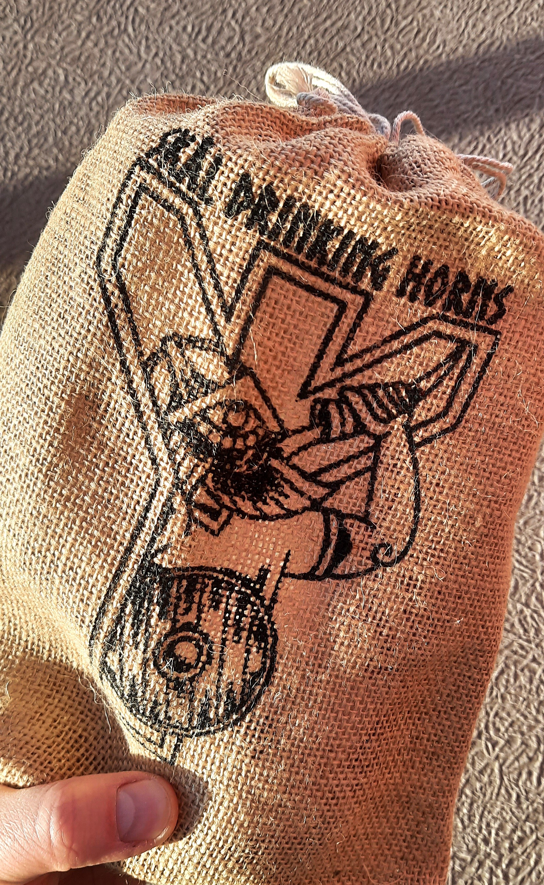 Kwitravn / White Raven – Viking Drinking Horn Tankard | Algiz-Rune Art