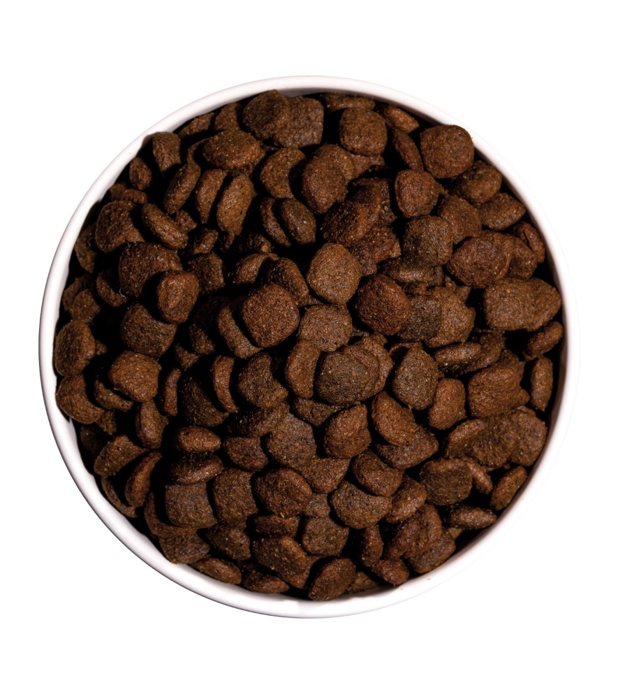 OWNAT ULTRA MEDIUM LAMB