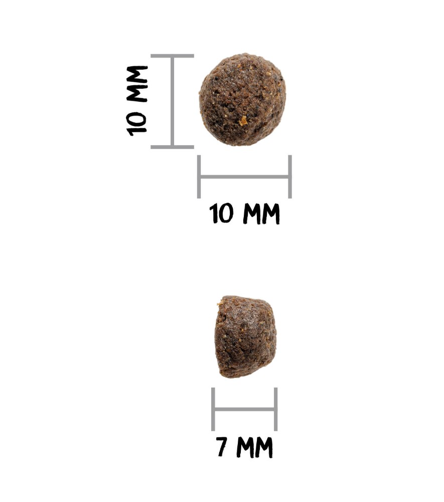 OWNAT GF PRIME ADULT OILY