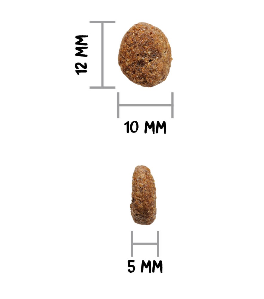 OWNAT GF HYPO MINI LAMB