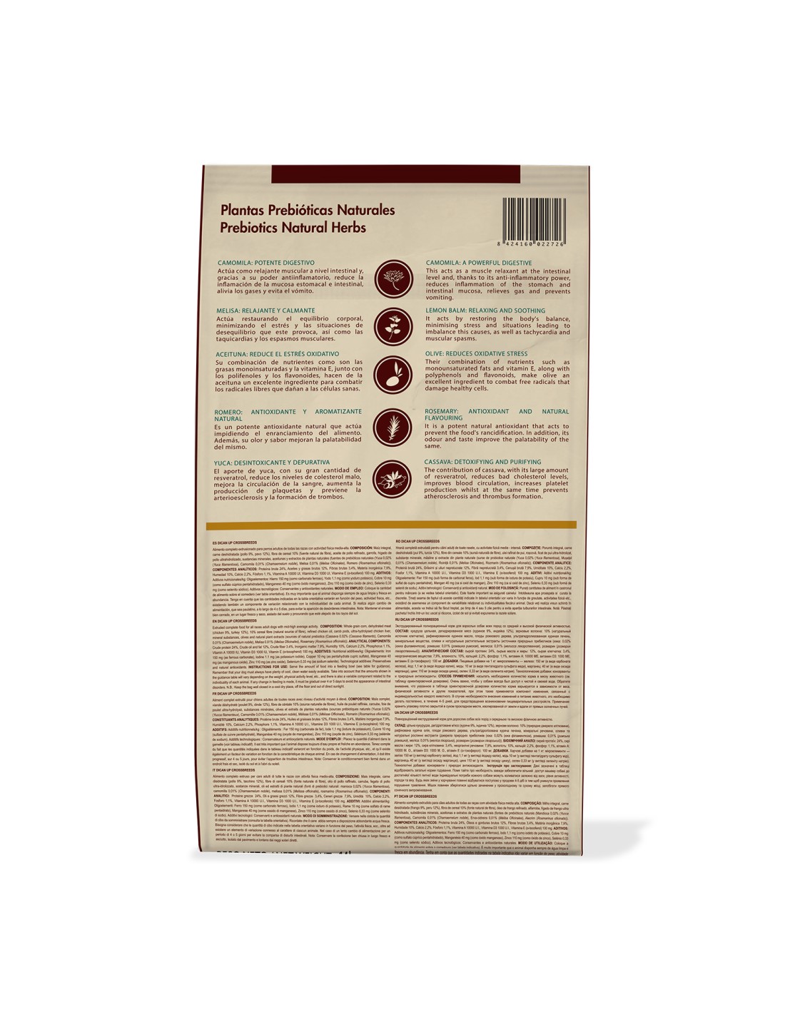 Dican Up Crossbreeds Adulto