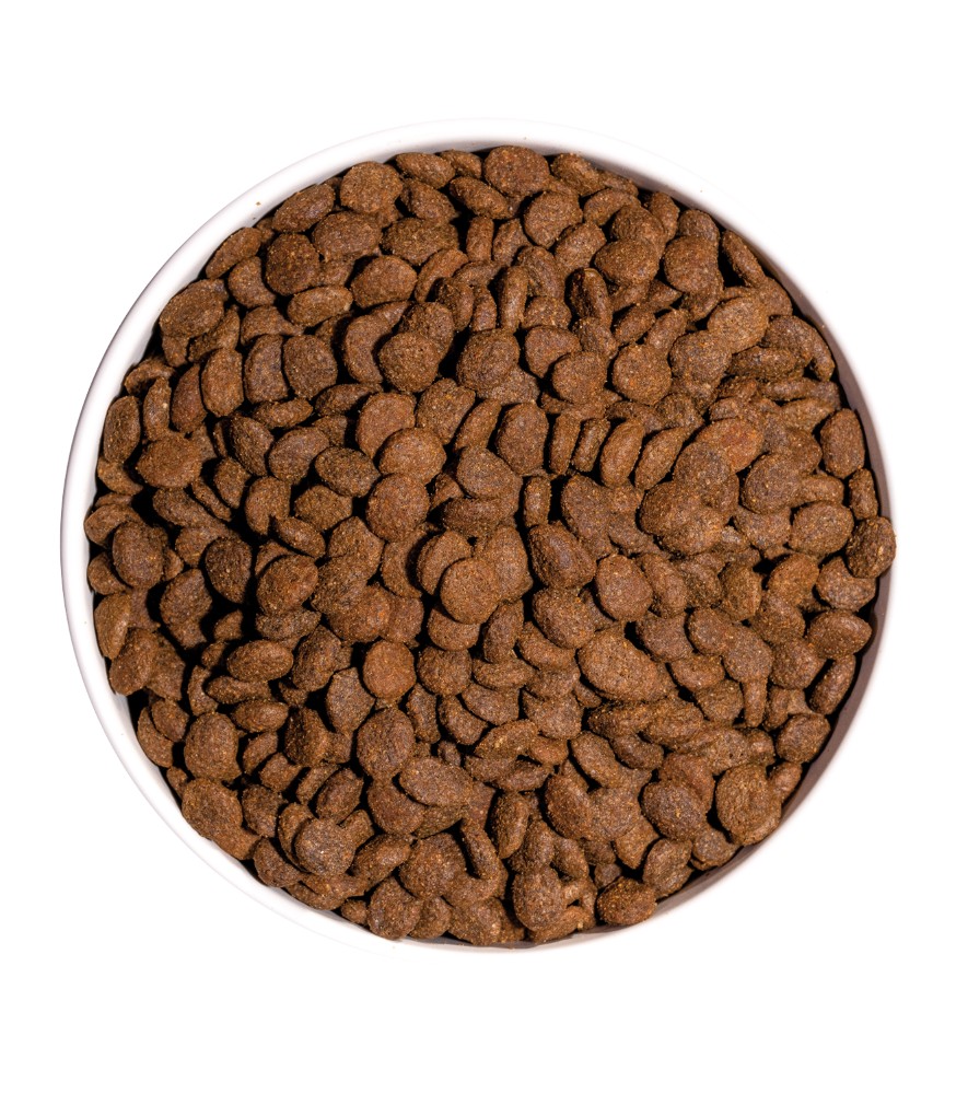 OWNAT GF PRIME STERILIZED