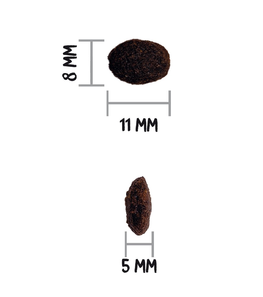 OWNAT GF PRIME HAIR&SKIN (CAT)