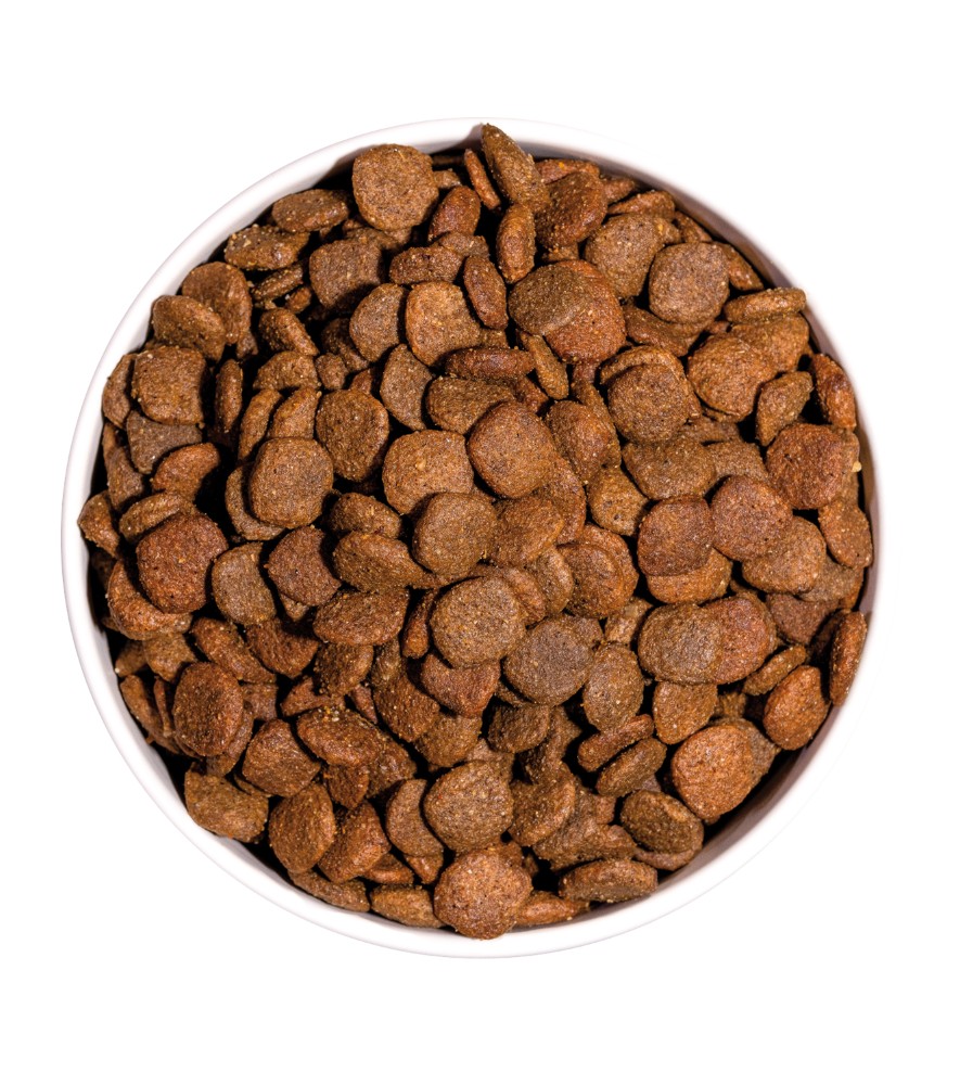 OWNAT ULTRA MINI ADULT