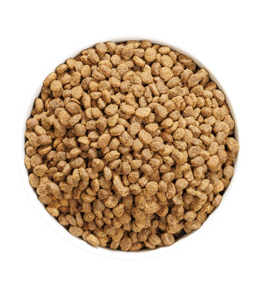 OWNAT AUTHOR FRESH OILY FISH & POULTRY (CAT)