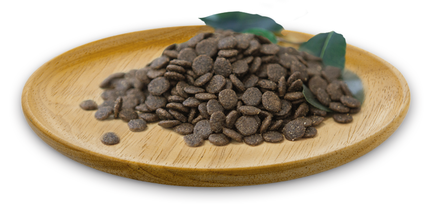 Natural Greatness RECETA DE CONEJO MINI