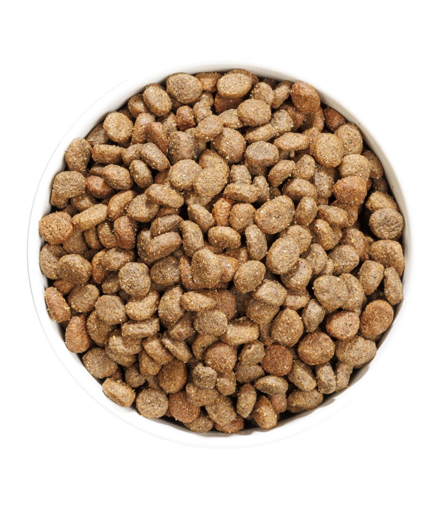 OWNAT GF HYPO MINI LAMB