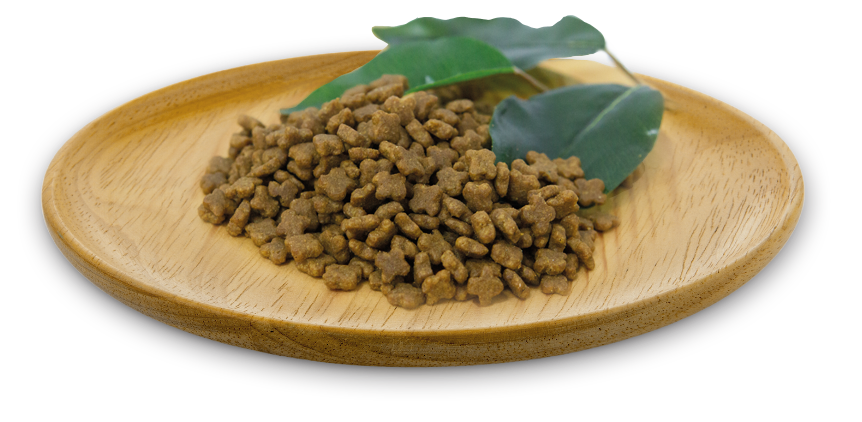 RECETA WILD INSTINCT