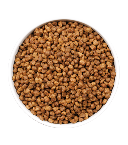 OWNAT ULTRA KITTEN (CAT)