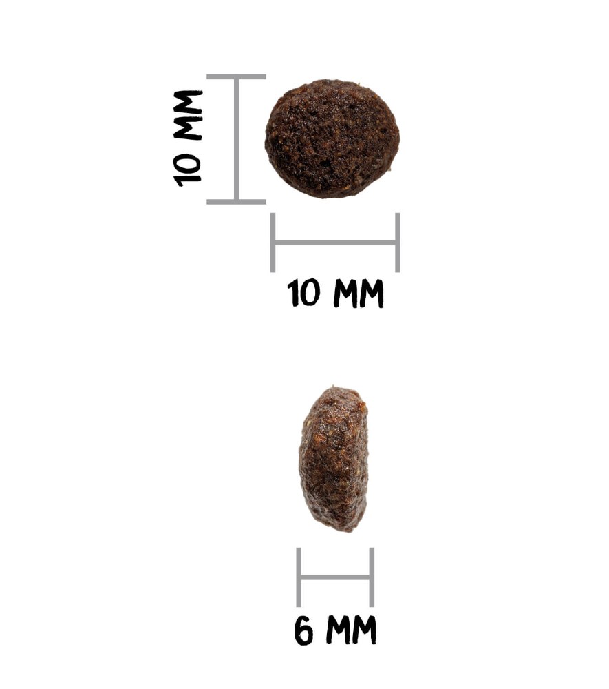 OWNAT GF JUST JUNIOR