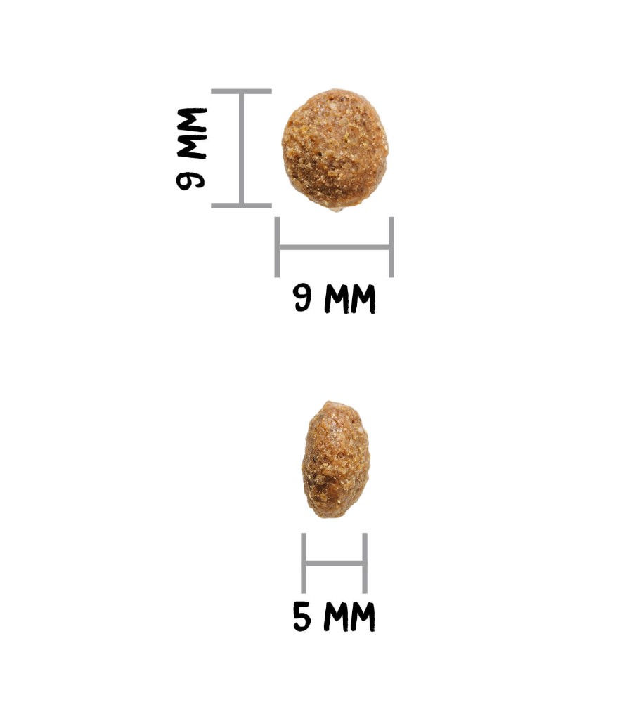 OWNAT AUTHOR FRESH LAMB & PORK