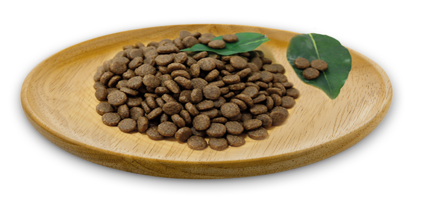 RECETA WILD INSTINCT RAZAS MEDIANAS Y GRANDES