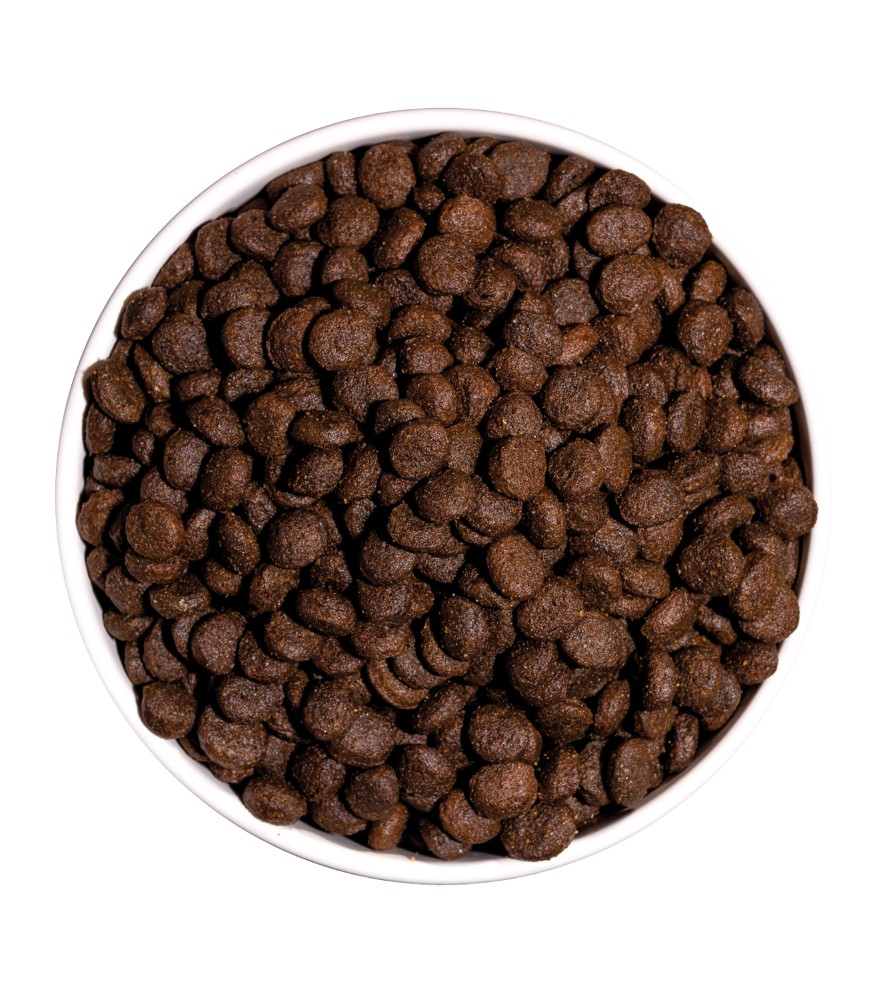 OWNAT GF PRIME JUNIOR LAMB