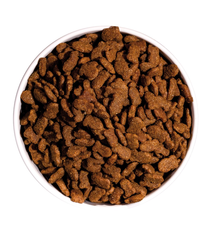 OWNAT CLASSIC FISH (CAT)