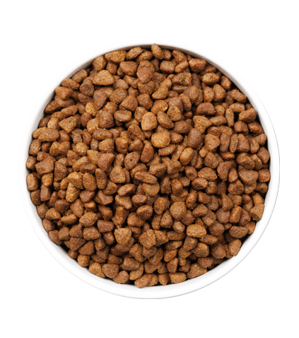 OWNAT ULTRA AGEING FISH