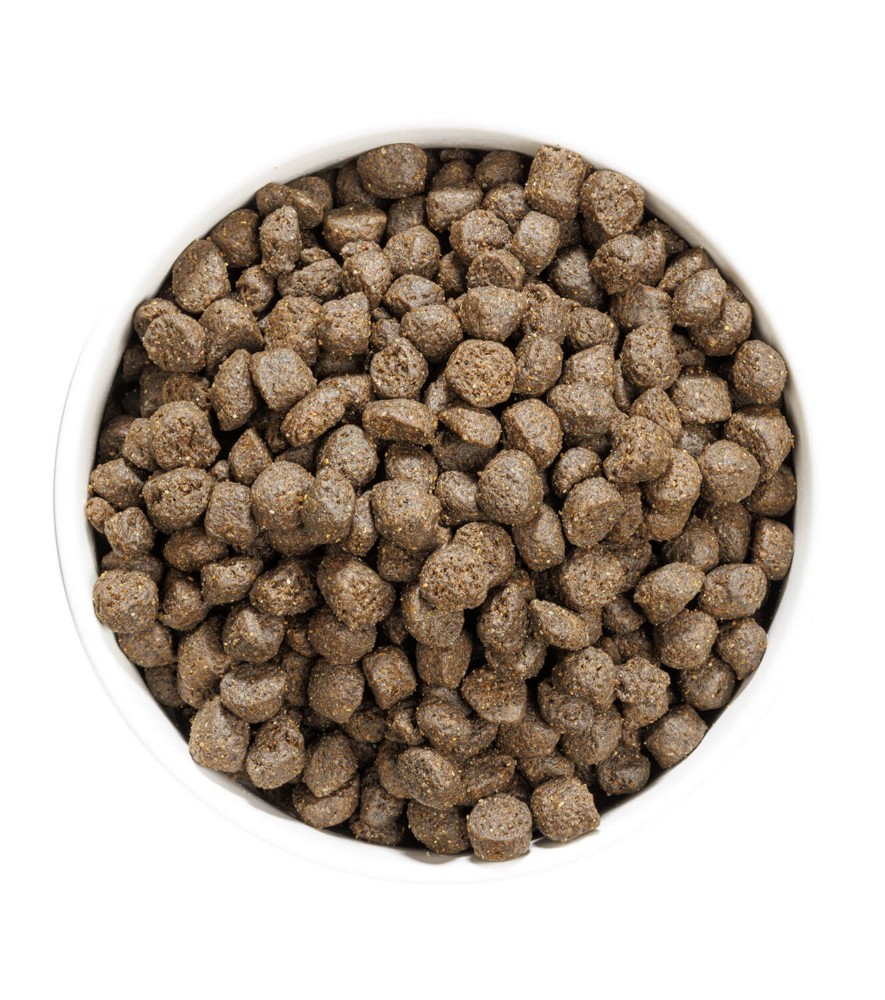 OWNAT GF PRIME ADULT OILY