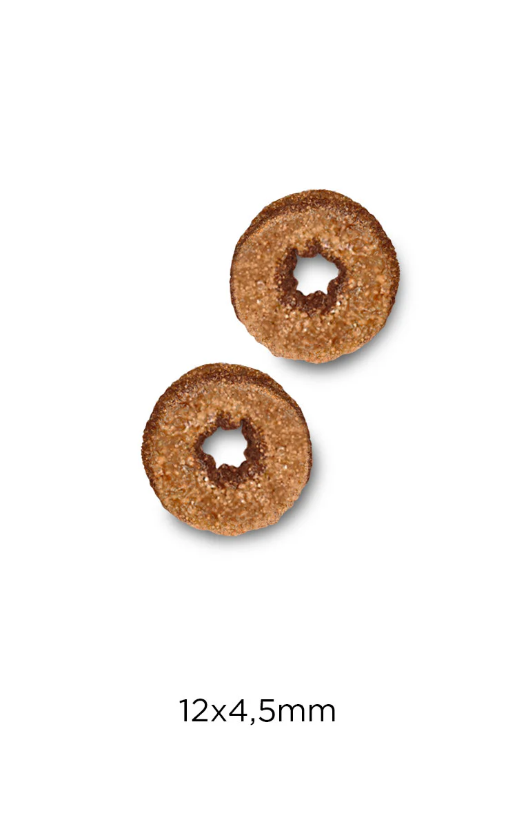 Optima Nova Adult Salmón y Arroz