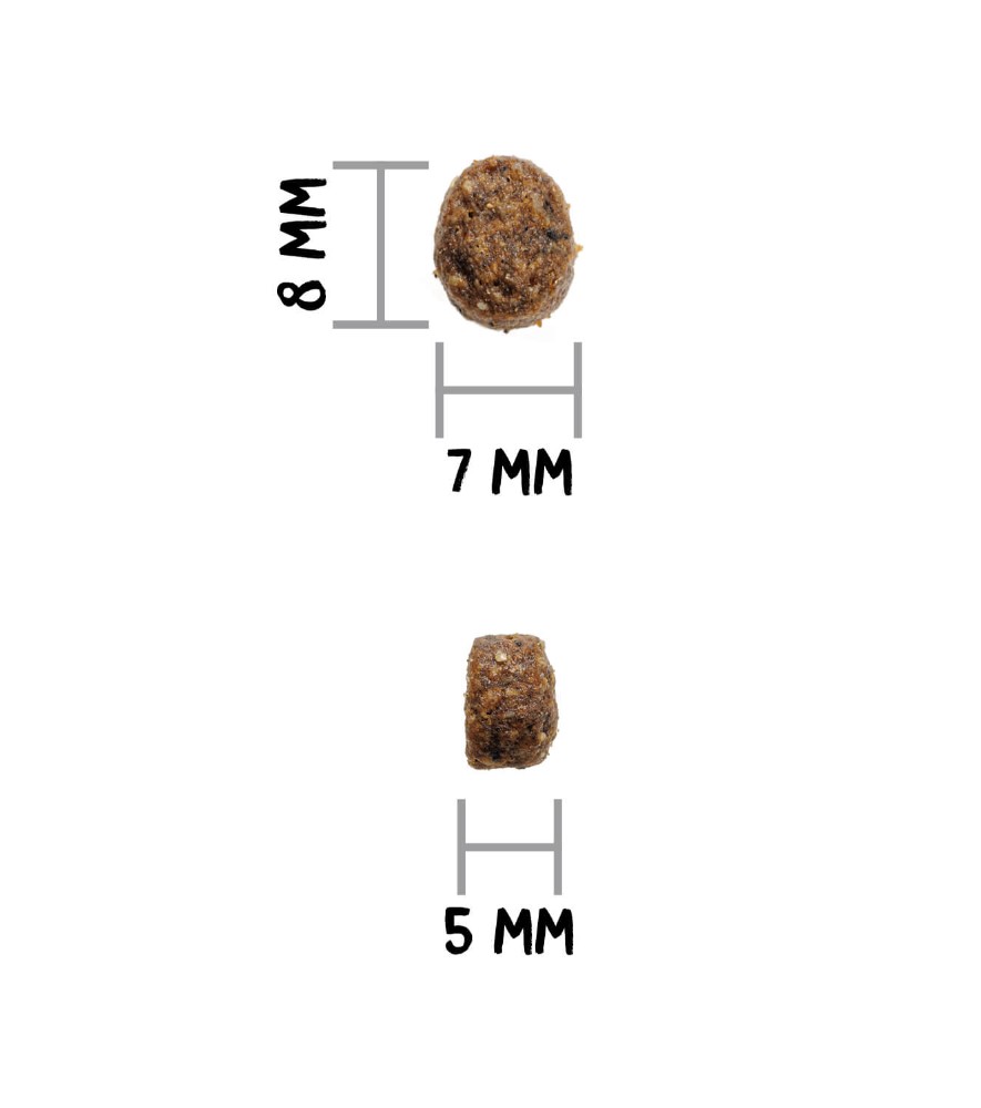 OWNAT GF JUST STERILIZED FISH