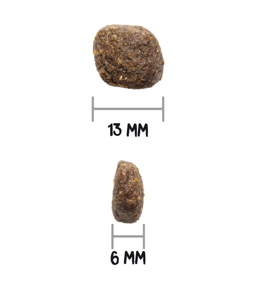 OWNAT CARE DIGESTIVE 