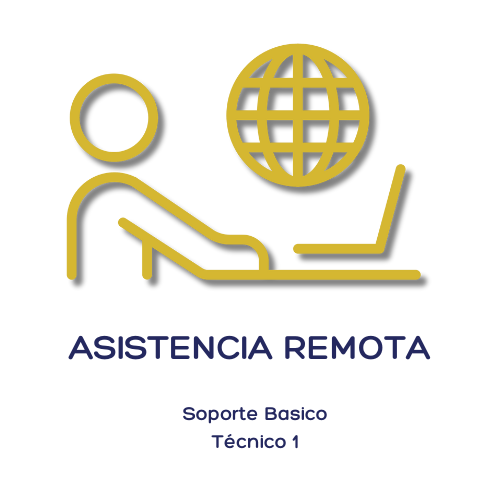 Asistencia Remota Basica