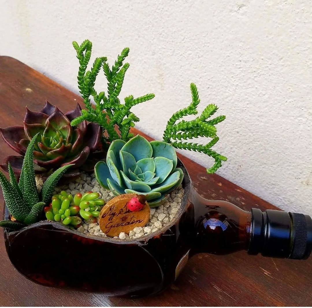 Mini jardín de suculentas en botella reciclada