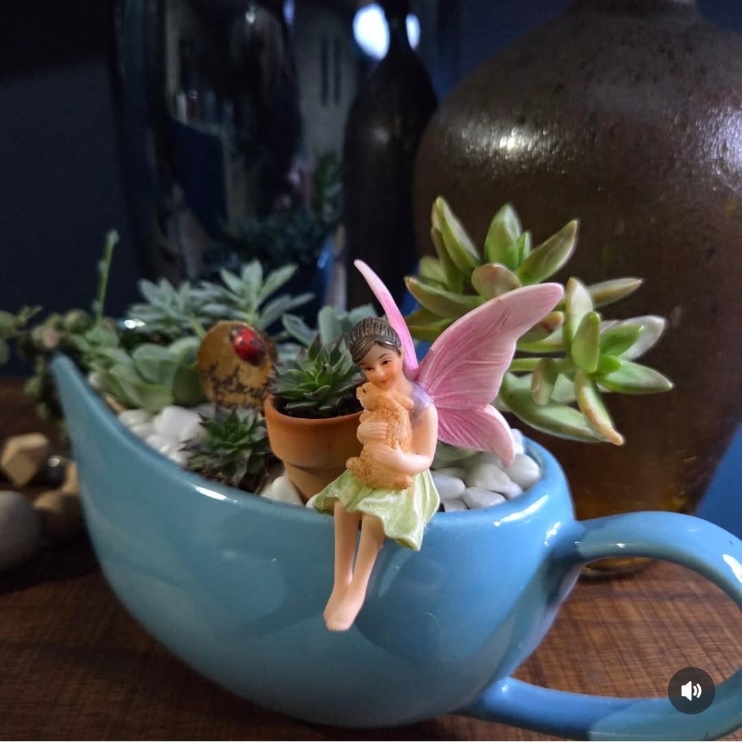 Jardin de suculentas en taza