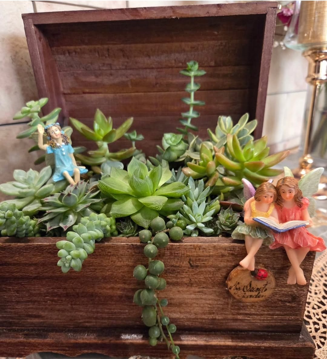 Caja de madera con suculentas