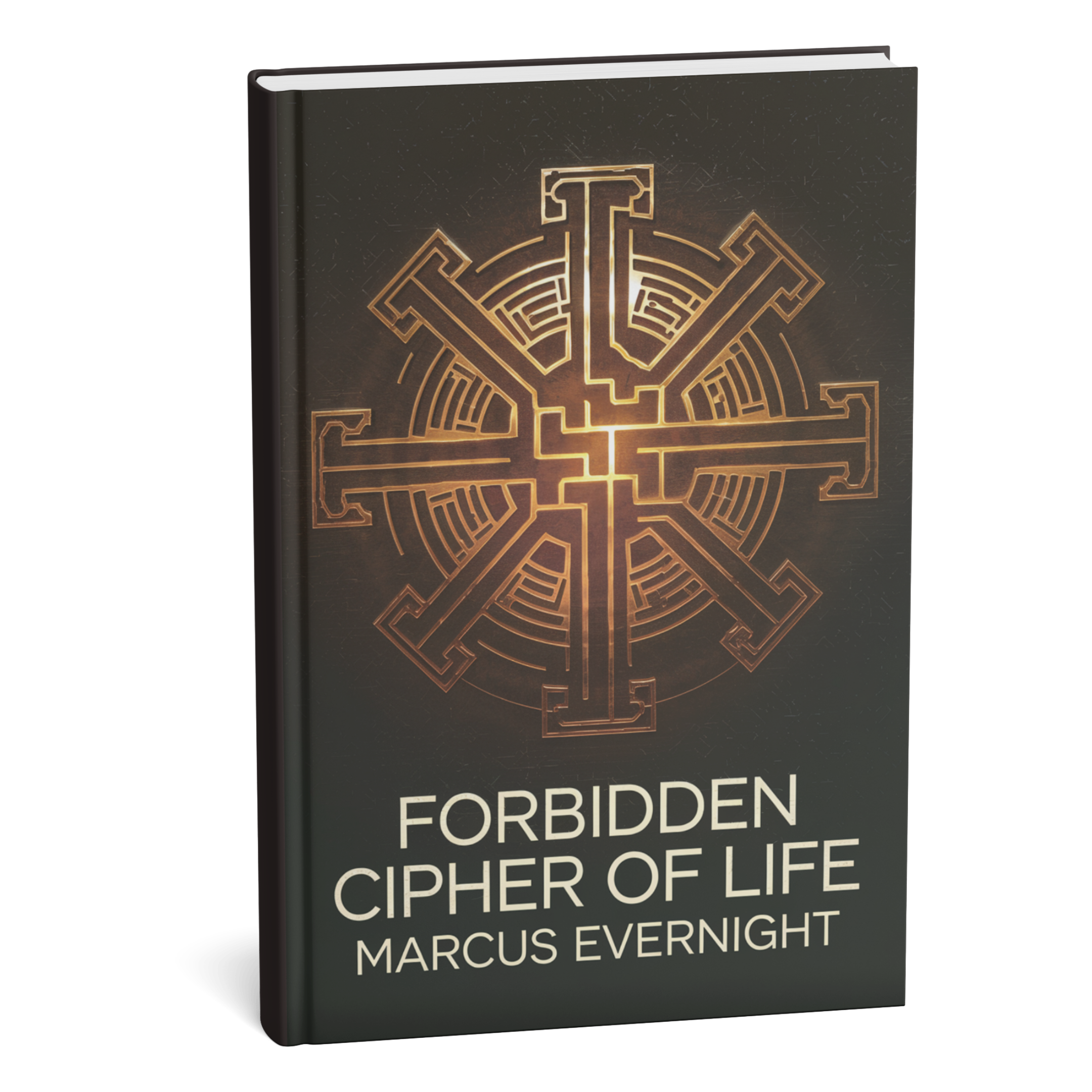 Forbidden Cipher of Life eBook