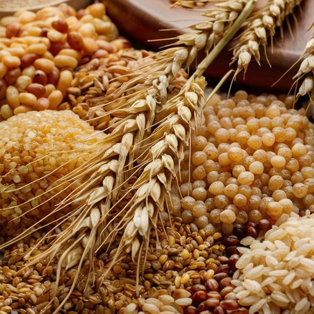 Preparation of agricultural projects and submission to funding agencies