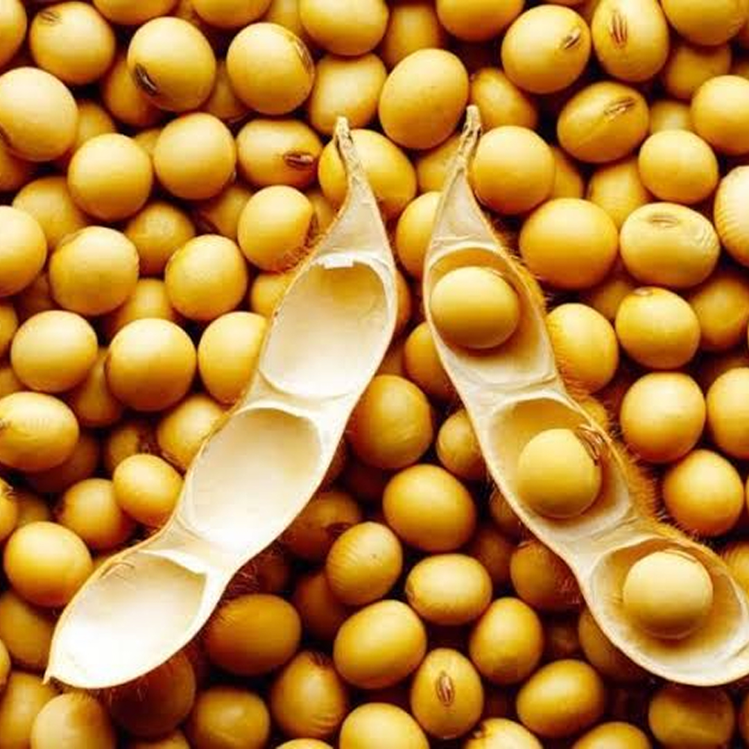 Capacitações in company