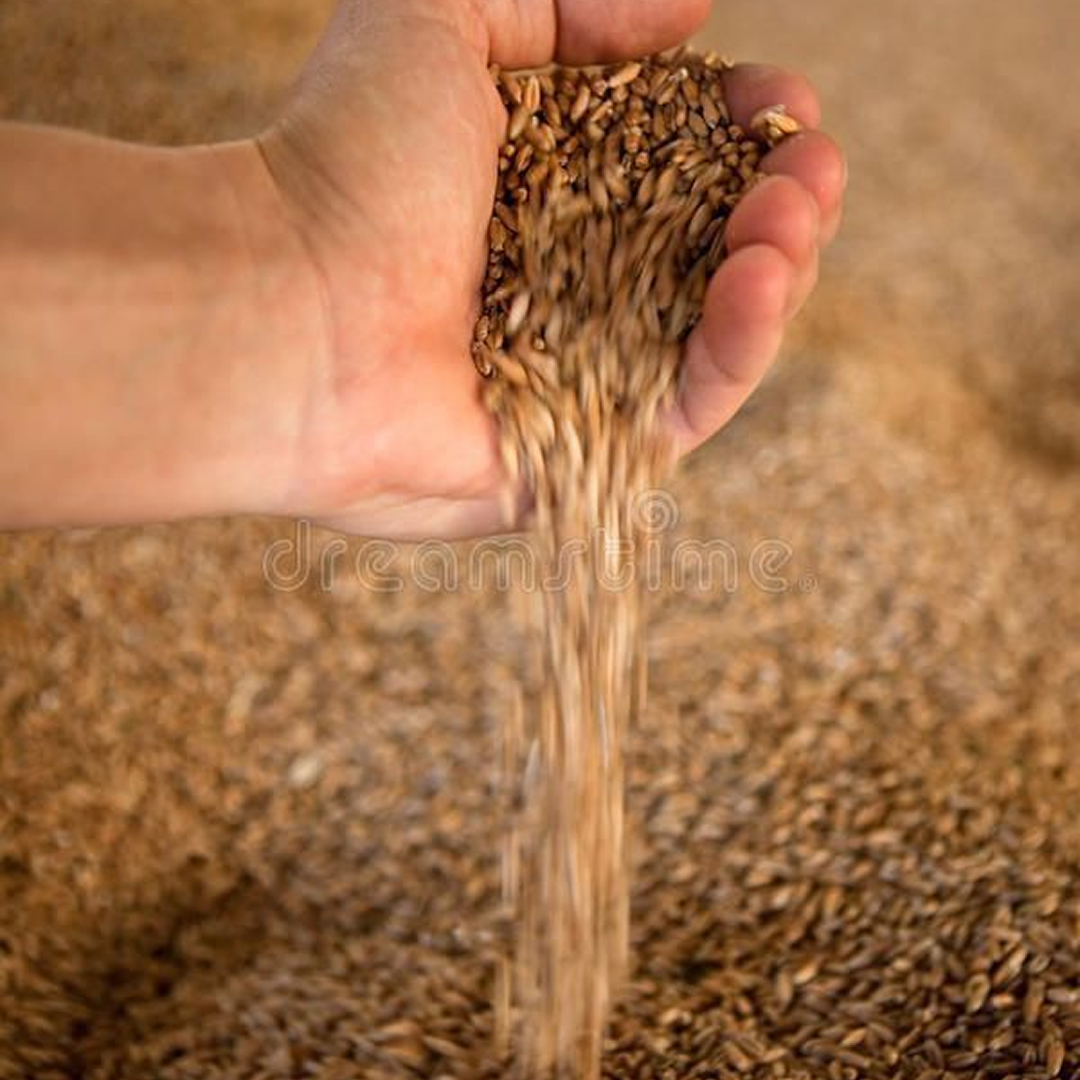 Implementação, gestão de indicadores e relatórios de ESG