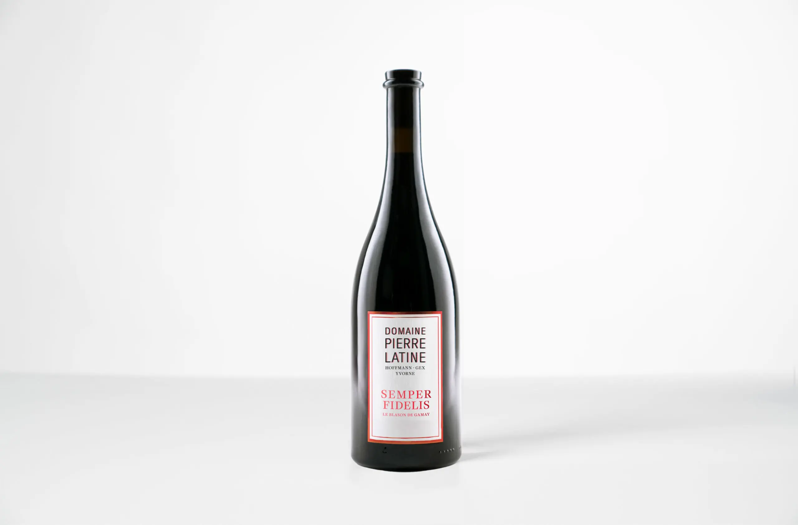 Semper Fidelis, Le Blason de Gamay