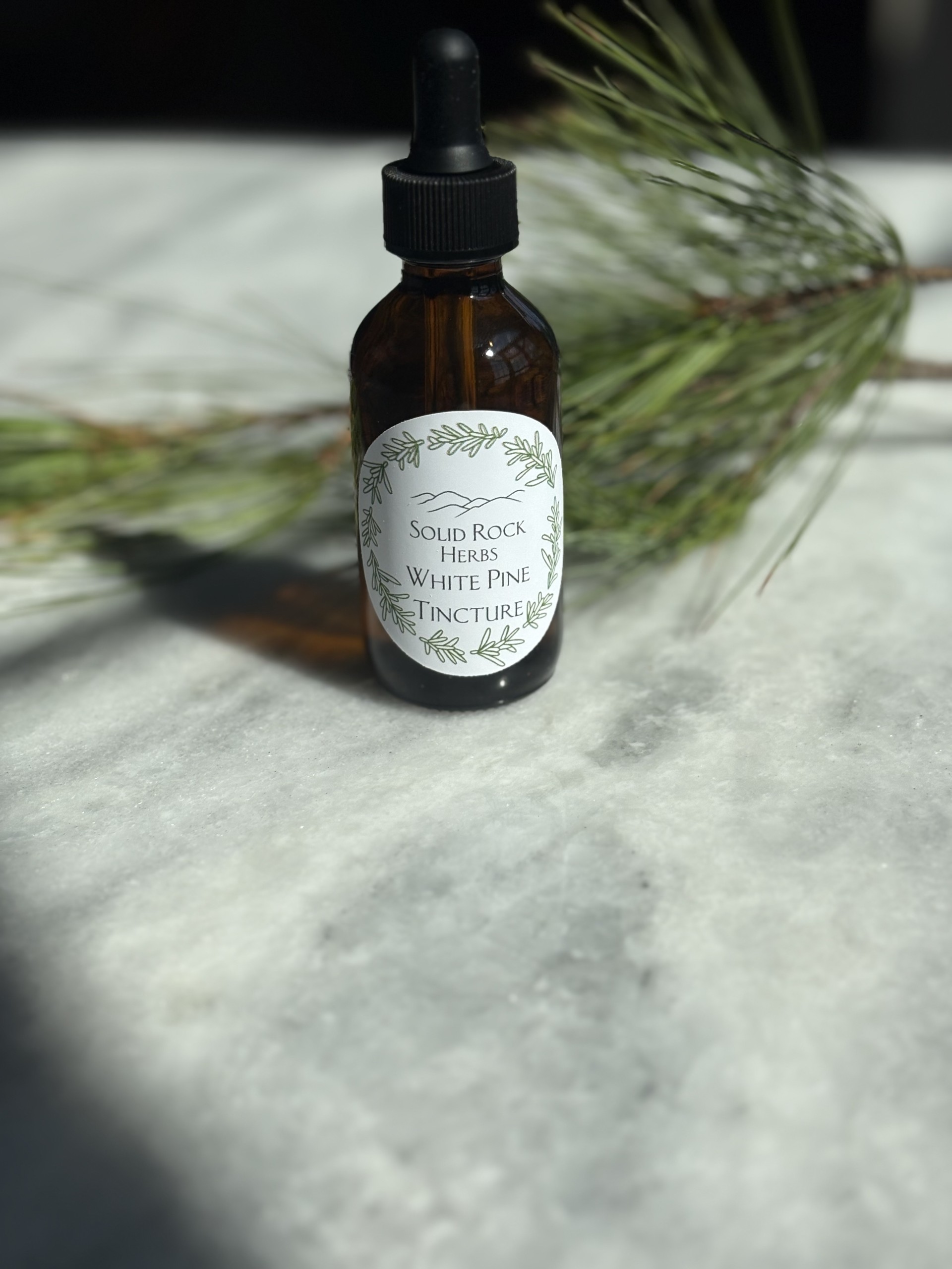 Eastern White Pine Tincture
