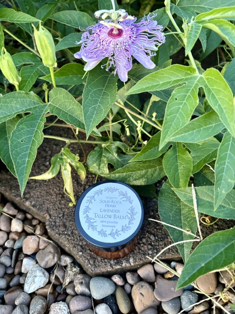 Creamy Lavender Tallow Balm 