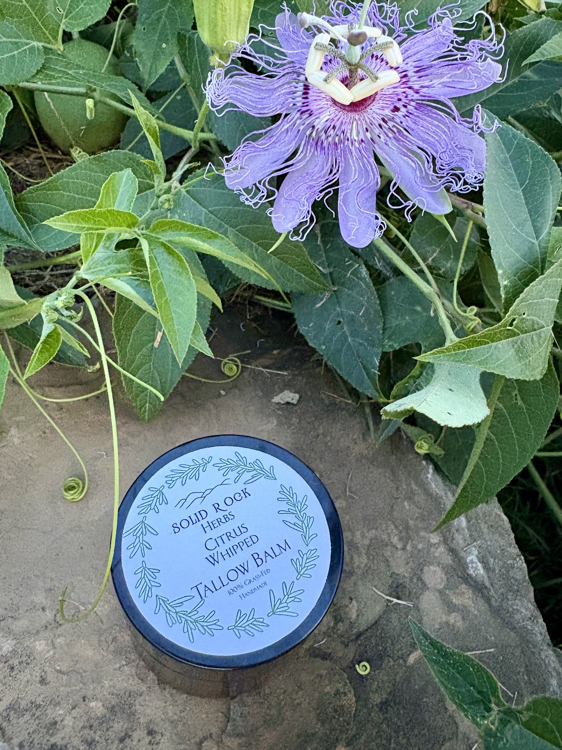 Whipped Citrus Tallow Balm