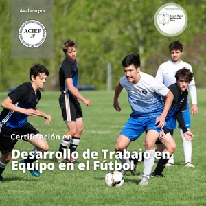 Desarrollo de Trabajo en Equipo en el Fútbol.