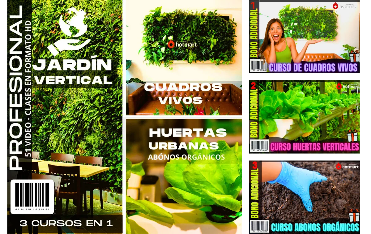 Aprende Jardinería Vertical desde cero