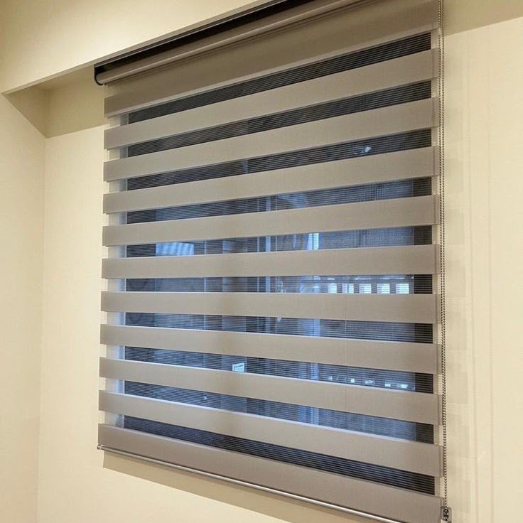 Zebra Blinds
