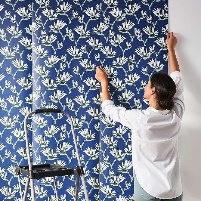 Imported Wallpapers