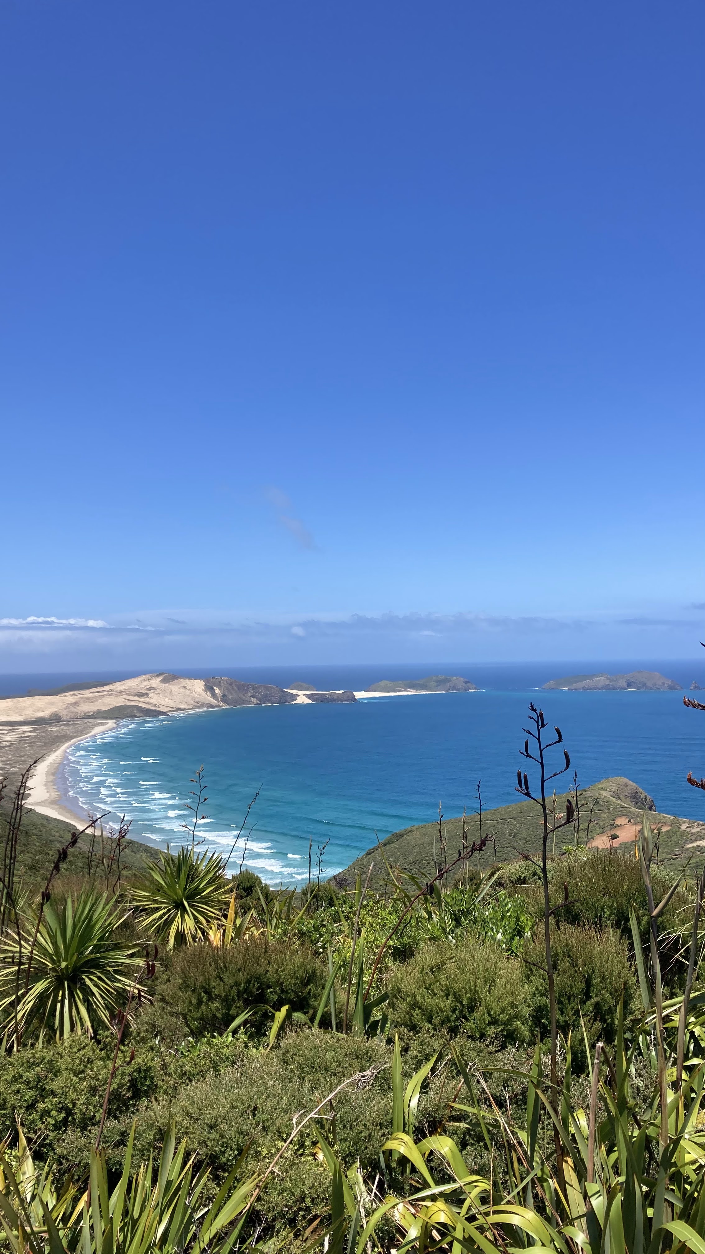 Northland Kickstart: Bay of Islands & Beyond