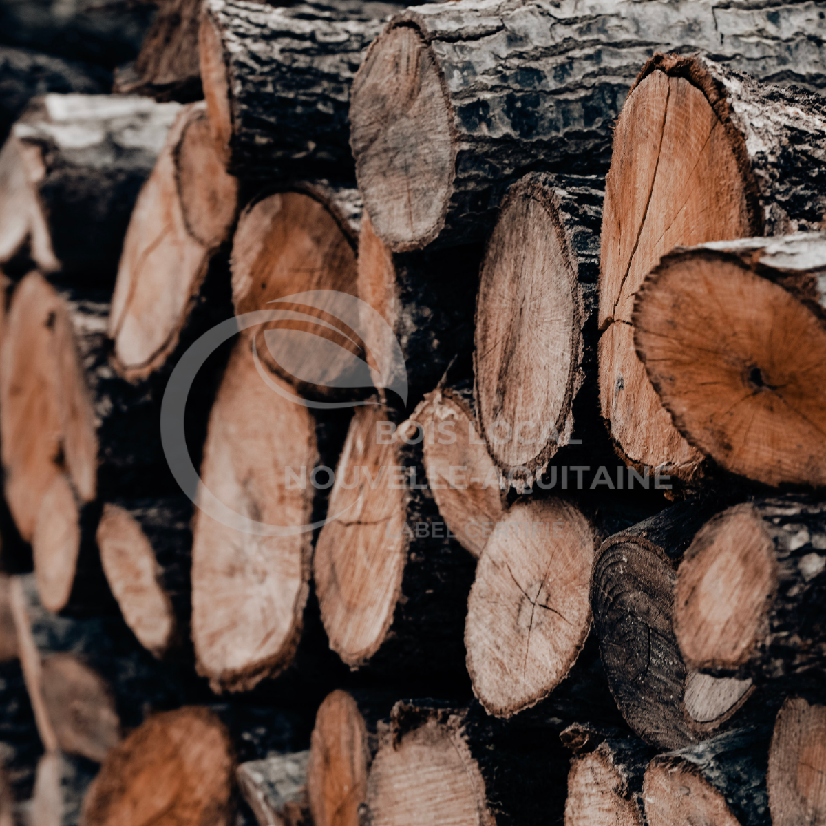 Stère de Châtaignier