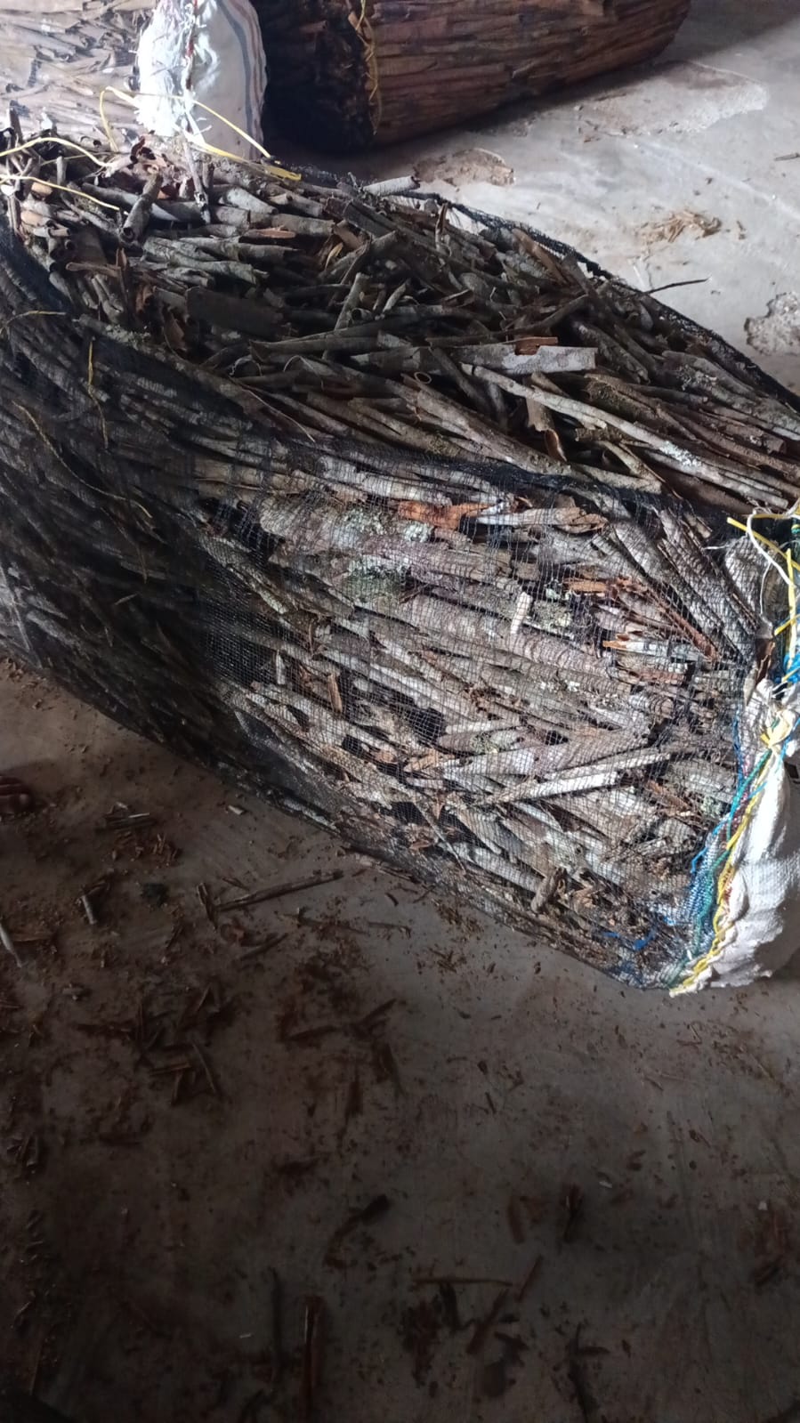 Kayu Manis Berkualitas Ekspor