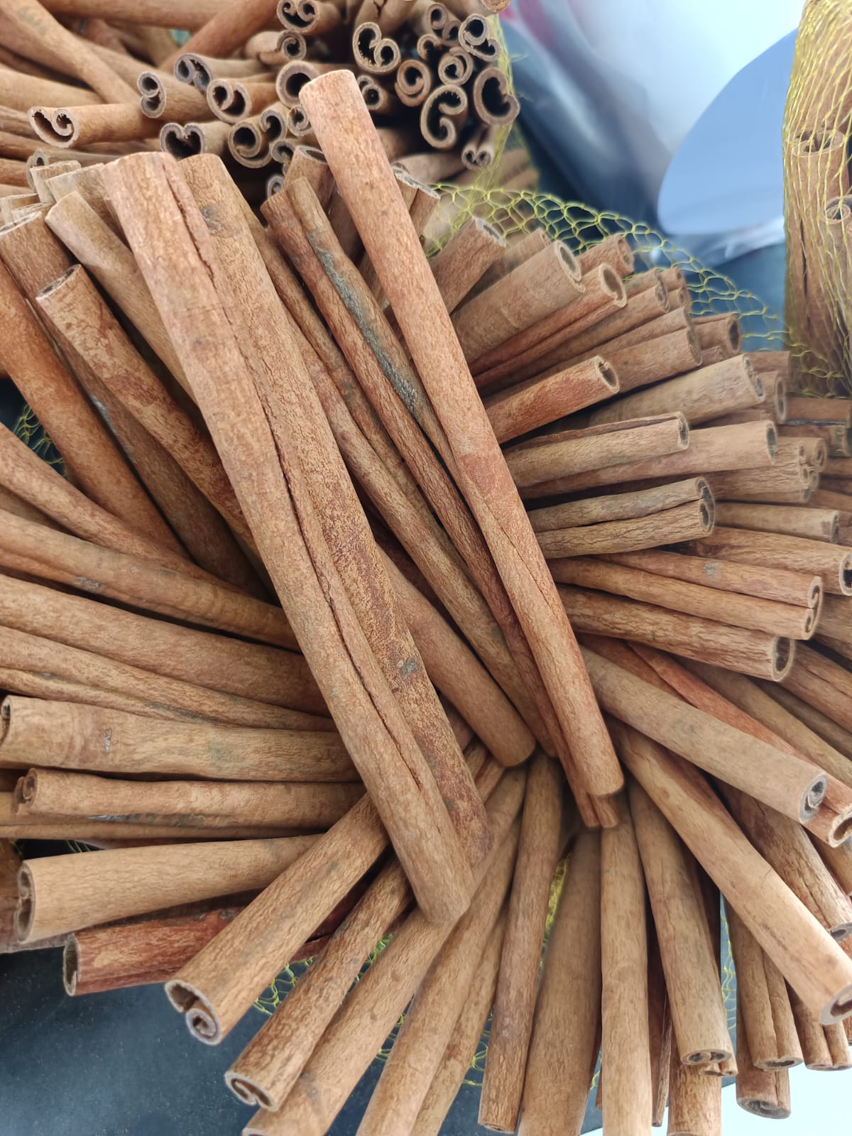 Kayu Manis Berkualitas Ekspor