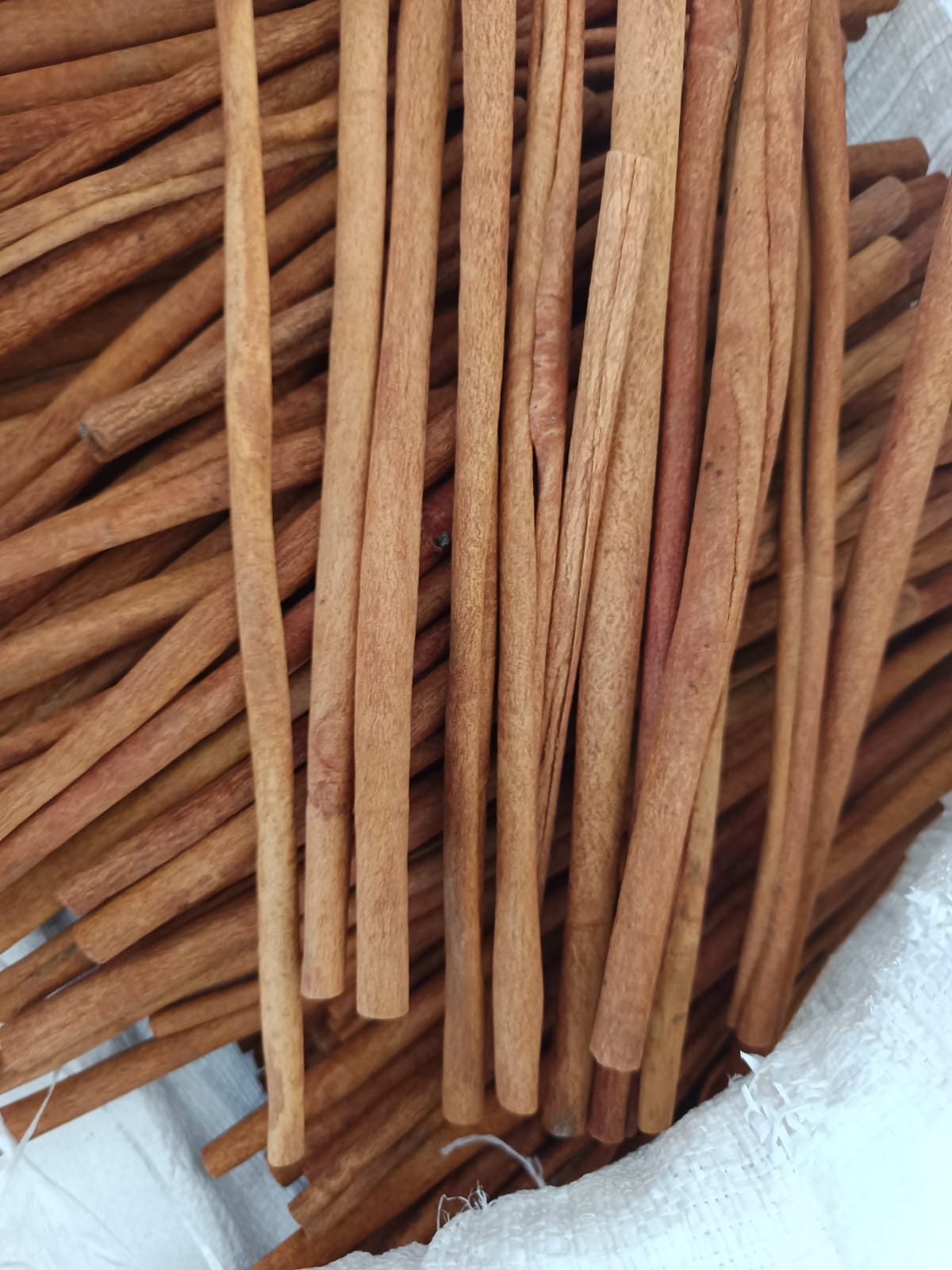 Kayu Manis Berkualitas Ekspor