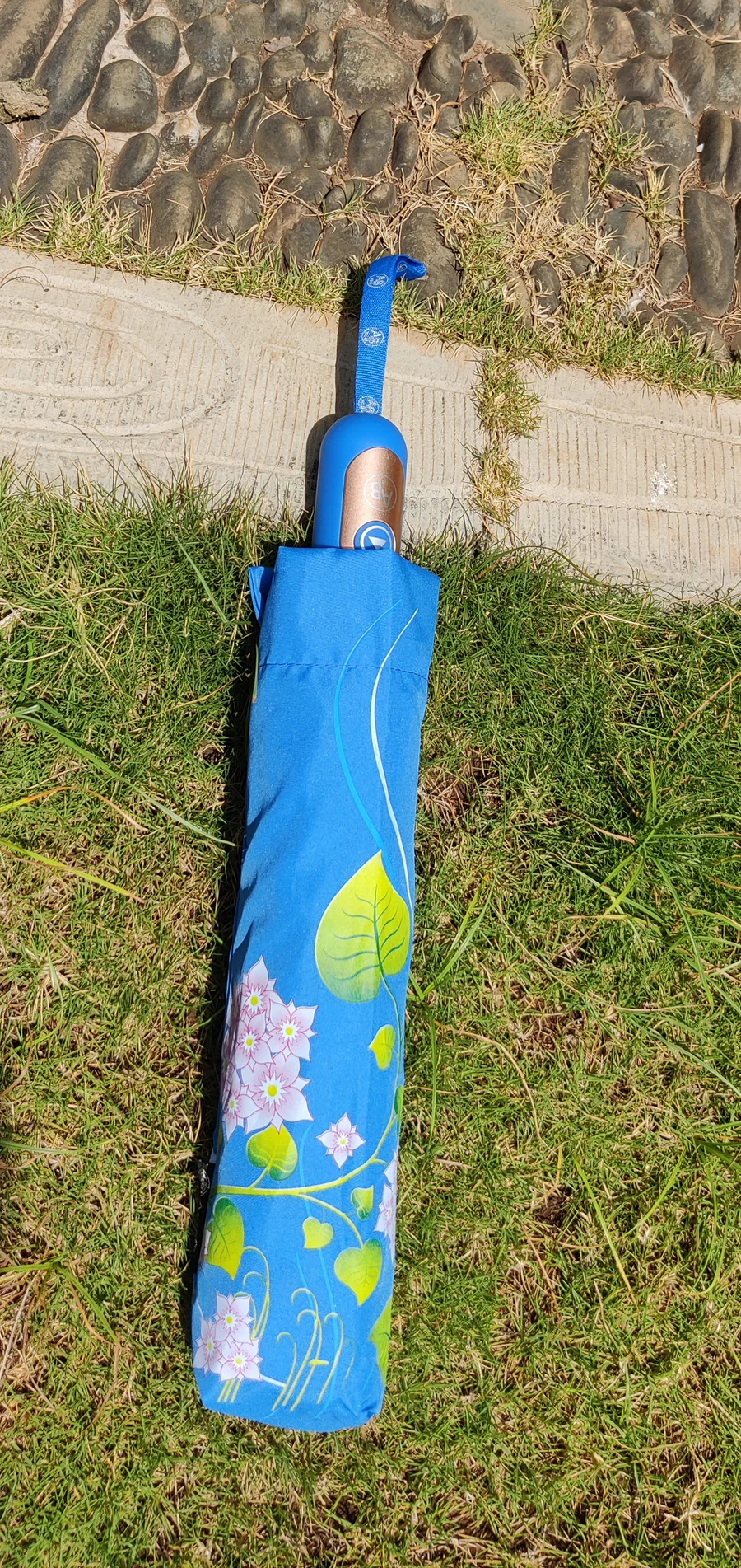 Colour Changing Umbrella