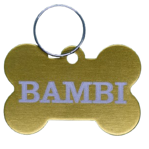 Personalized Dog Bone Tag