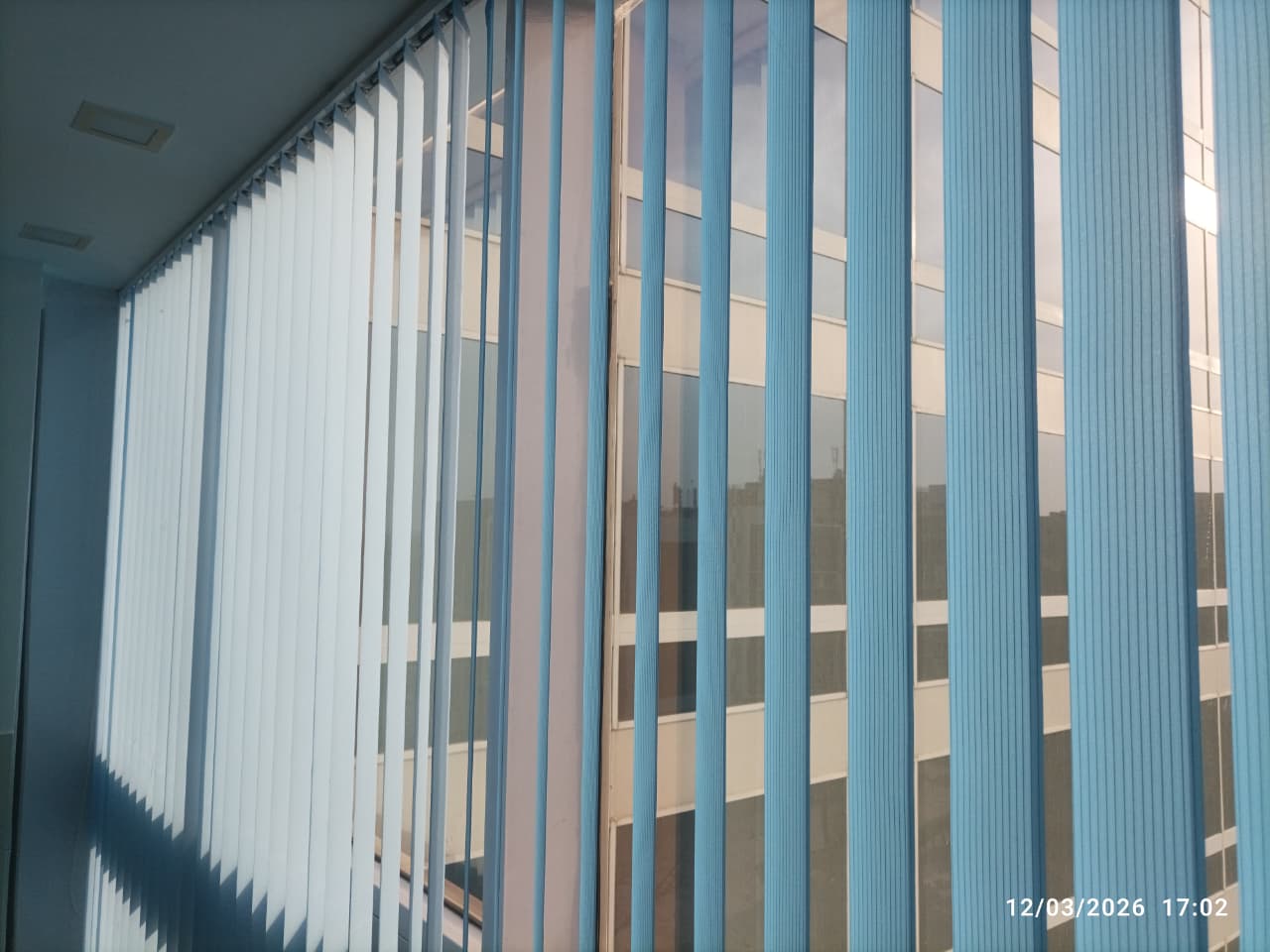 Vertical Window Blinds