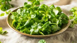 Salade de mâche